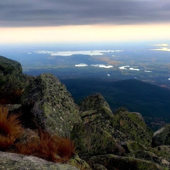 Meet your Posher, Jackie - Picture 1 of 1